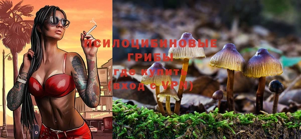 стафф Абдулино