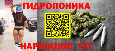 индика Ипатово