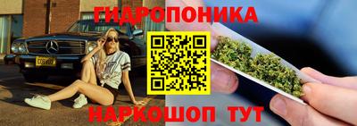 индика Ипатово