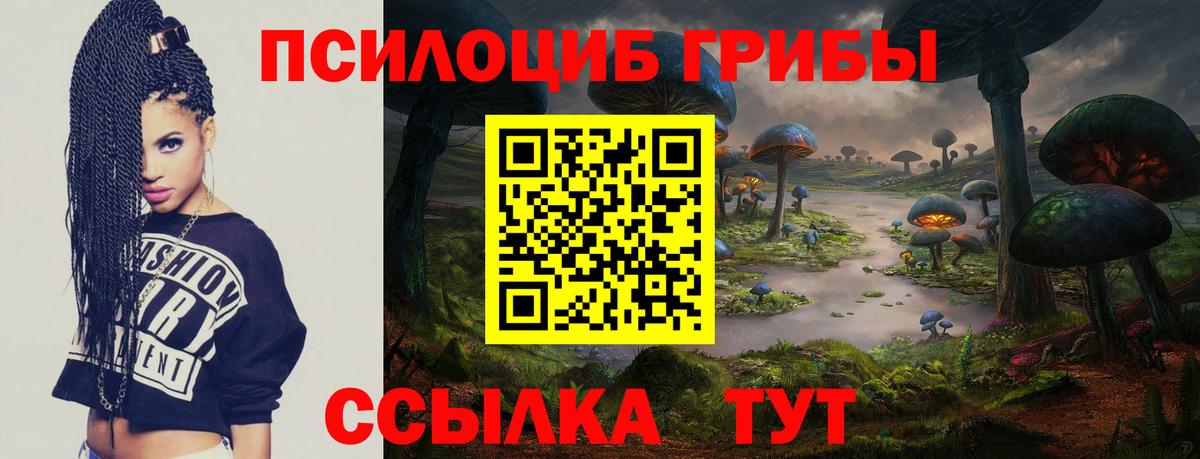 Галлюциногенные грибы GOLDEN TEACHER  Вход с VPN  Смоленск 